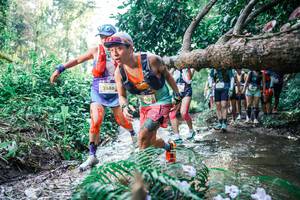 BIB: 
                            <button type="button" onclick="openModal(25450033)" class="btn btn-primary btn-sm float-right btn-popup" data-toggle="modal" data-target=".modal-high-quality">
                        <i class="fas fa-shopping-cart"></i> Add to Cart
                    </button>
                                            <button type="button" onclick="isThisMe(25450033, true)" class="btn btn-success btn-sm float-right btn-popup btn-isme hidden" data-toggle="tooltip" data-placement="bottom" title="นี่คือรูปของคุณใช่ไหม คลิกที่นี่เพื่อเอาเข้าอัลบั้ม">
                        <i class="fas fa-plus"></i> Add to album
                    </button>
                    <button type="button" onclick="isThisMe(25450033, false)" class="btn btn-warning btn-sm float-right btn-popup btn-isnotme hidden">
                        <i class="fas fa-ban"></i> Remove from album
                    </button>